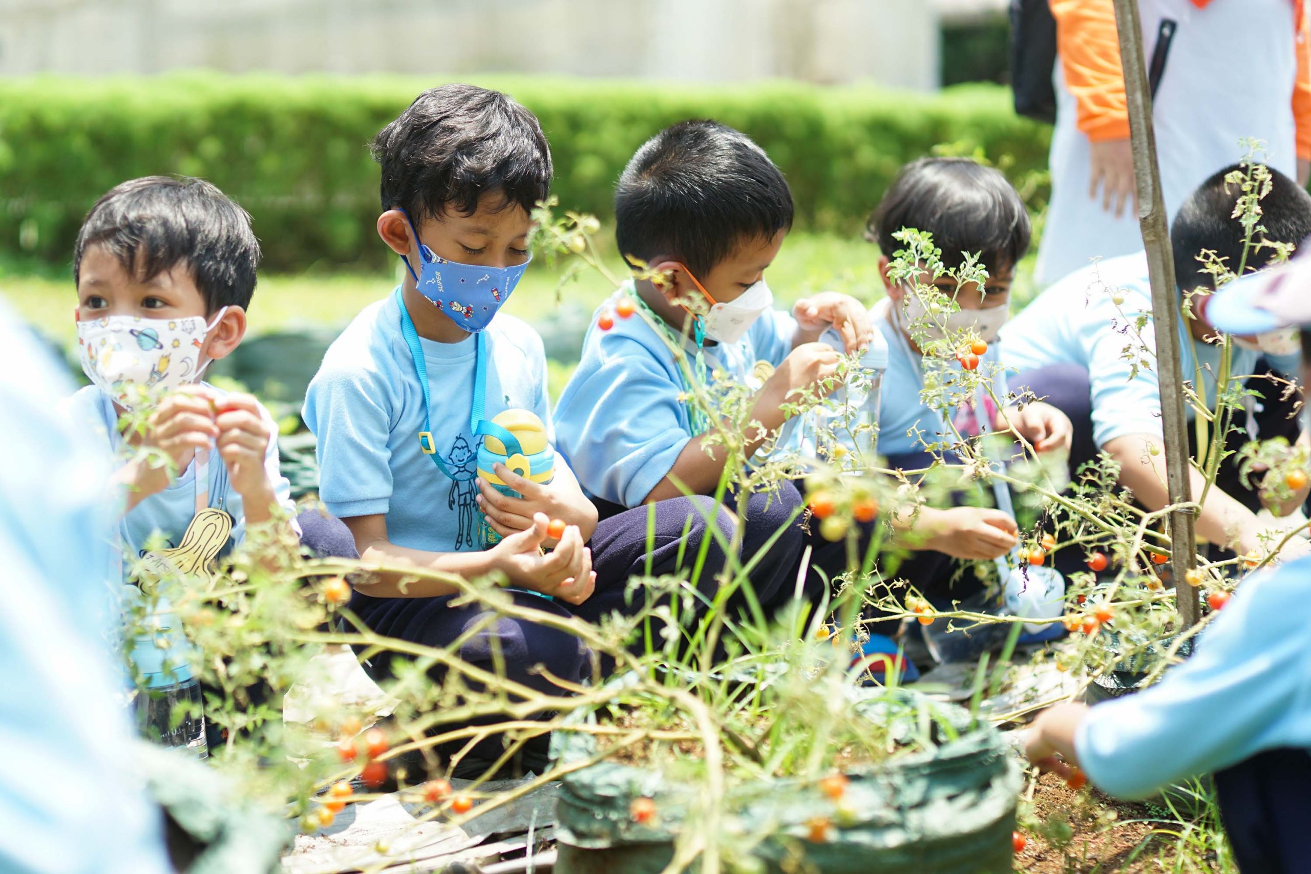 9 Manfaat Berkebun Bersama Anak