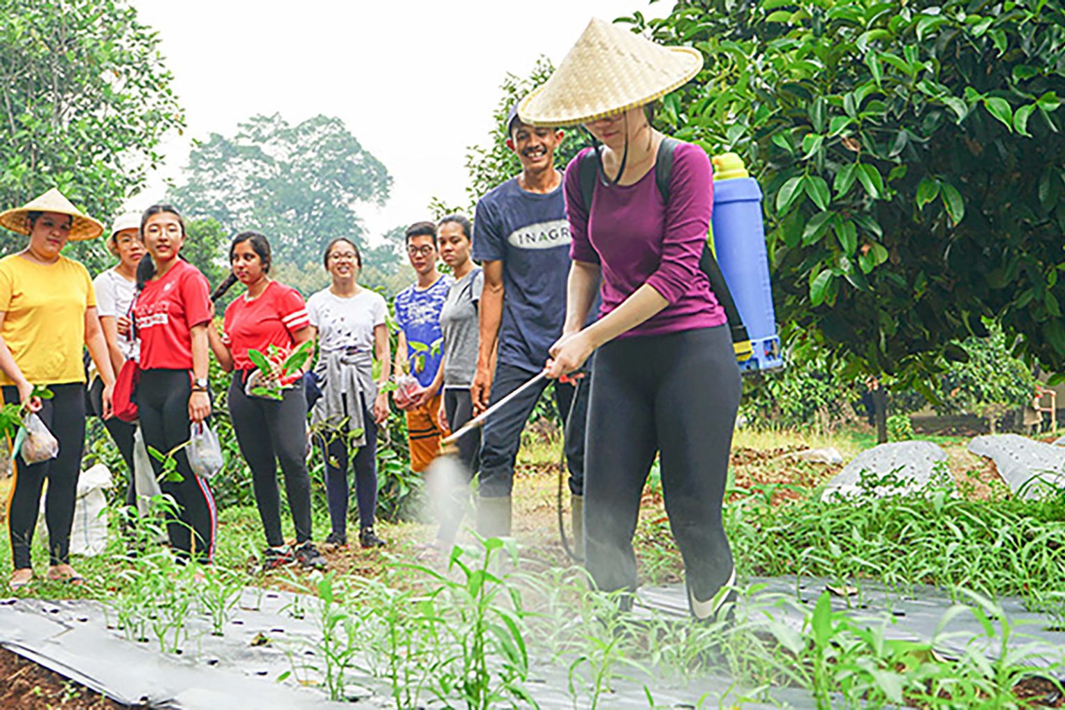 Kenali Apa Itu Urban Farming INAGRO - INAGRO