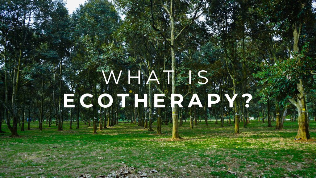 Title image of 'What is Ecotherapy' with serene nature background depicting lush green landscapes