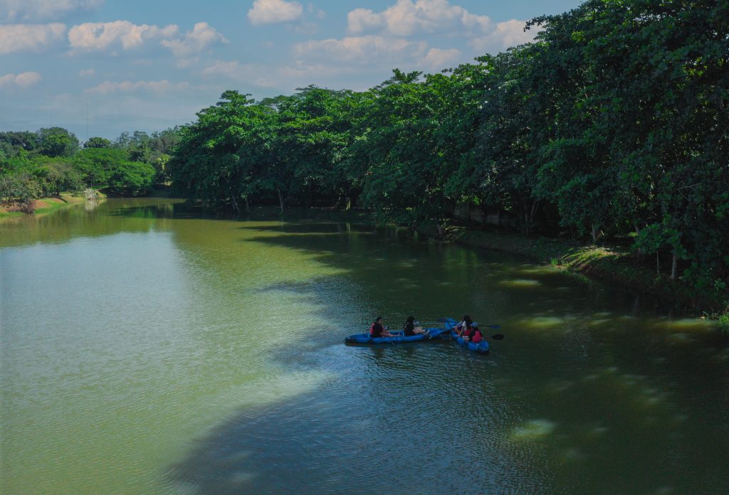 Kayaking in a lake with lush greenery at Inagro